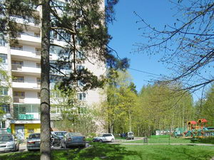5 микрорайон Зеленограда, инфраструктура, дома, квартиры, полезные телефоны 